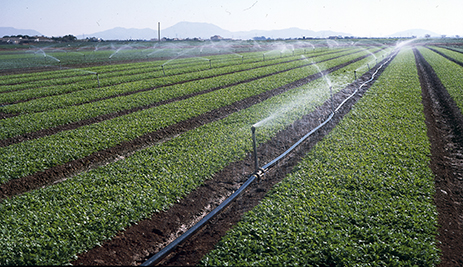 Système d'irrigation solaire SOLIVOIRE